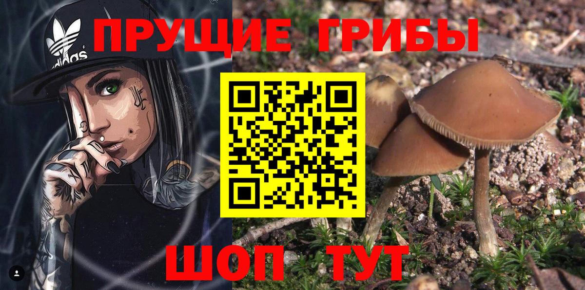 А ПВП Добрянка